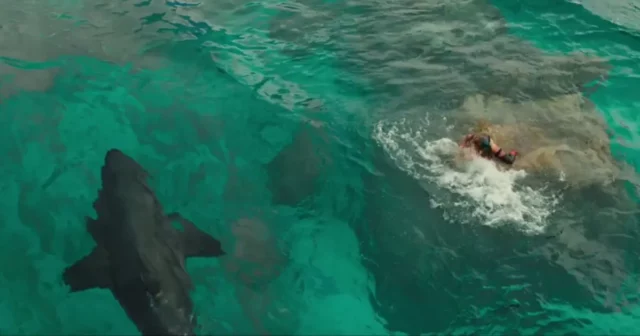 Where To Watch The Shallows For Free Online? Blake Lively’s Horror Drama Film From 2015!!