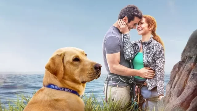Where Was Guiding Emily Filmed? Hallmark’s Phenomenal Drama Film!