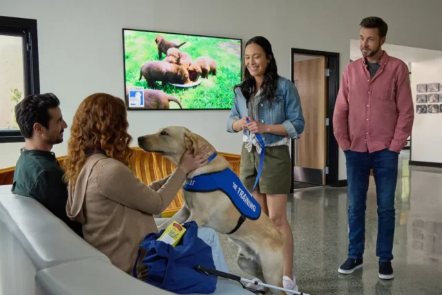 Where Was Guiding Emily Filmed? Hallmark’s Phenomenal Drama Film!