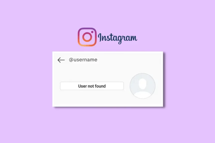 What Does It Mean User Not Found On Instagram? 5 Possible Meanings Here!