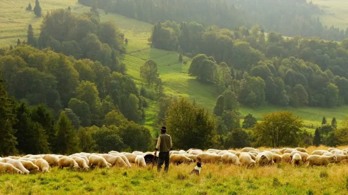 The Best Farming Documentaries Of All Time 