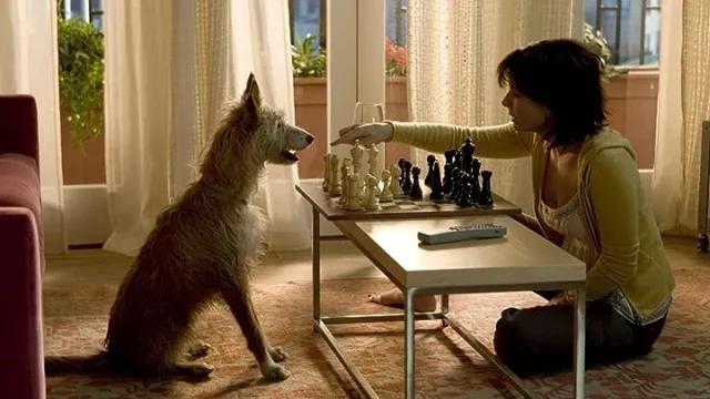 Where Was The Lake House Filmed? A Stunning Fantasy Romantic Drama Film!