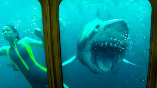 Where To Watch 47 Meters Down For Free Online? Beware Of Deadly Shark Attacks!!