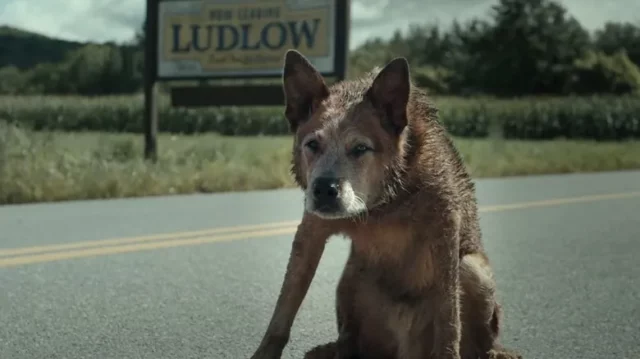 Where Was Pet Sematary Bloodlines Filmed? A Brand New Supernatural Horror Flick!