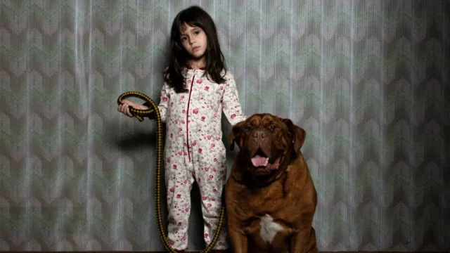 Where To Watch When Evil Lurks For Free Online? An Argentine Horror Flick From 2023!!