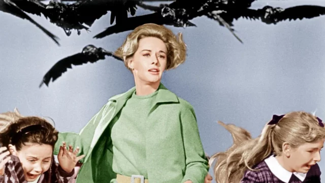 Where Was The Birds Filmed? Hitchcock’s Classic Horror Thriller!