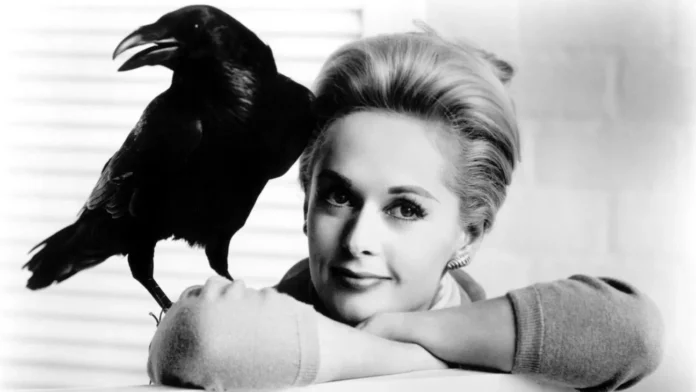 Where Was The Birds Filmed? Hitchcock’s Classic Horror Thriller!