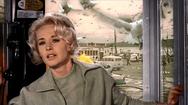 Where Was The Birds Filmed? Hitchcock’s Classic Horror Thriller!