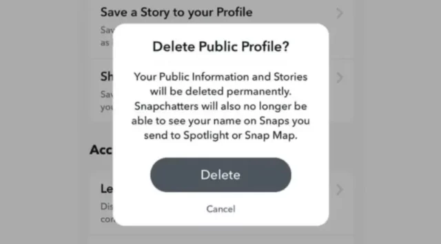 How To Delete Public Profile On Snapchat In 2023? Simple Steps To Know!